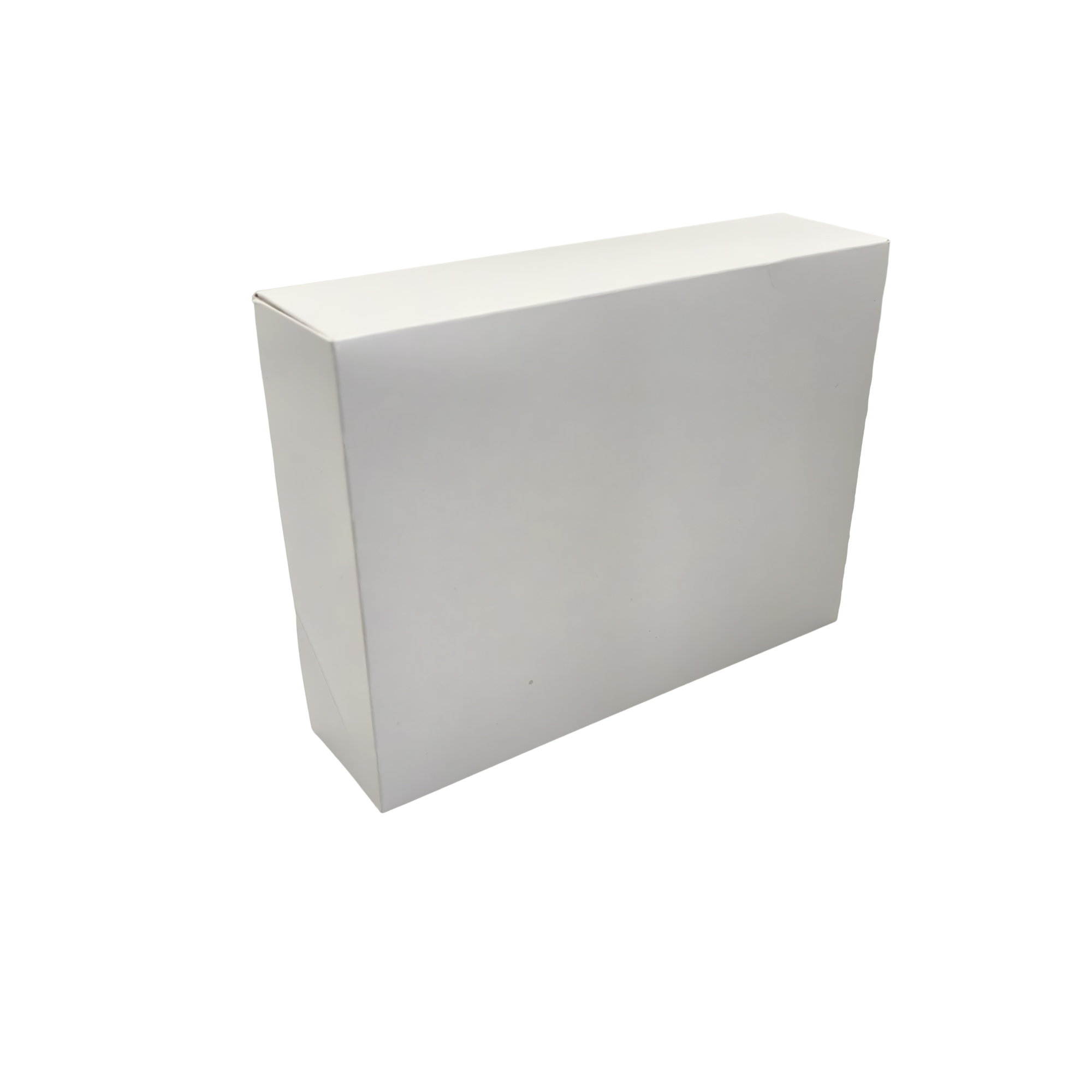 Coating Hexagonal Shrimp Box - Image 4