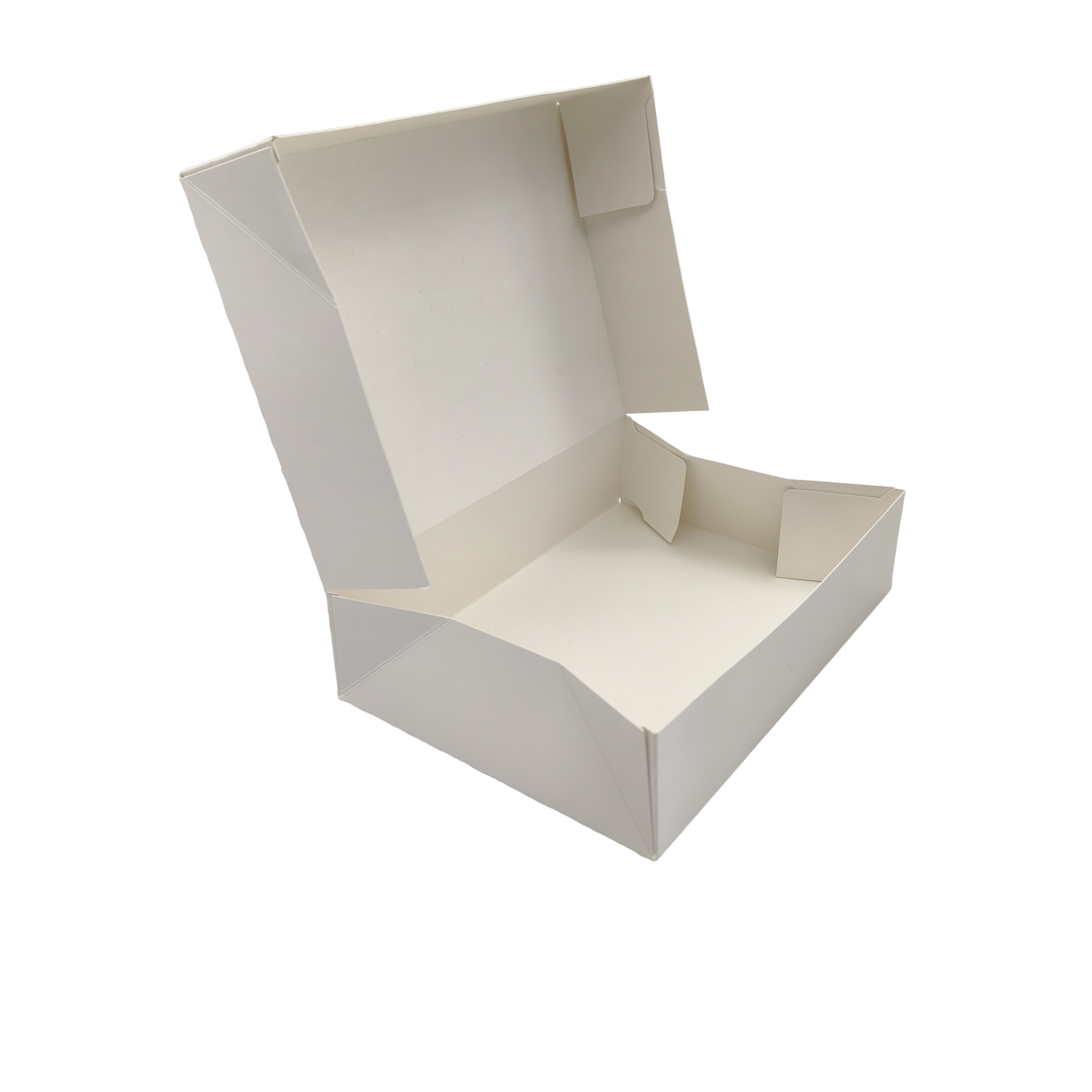 Coating Hexagonal Shrimp Box - Image 2