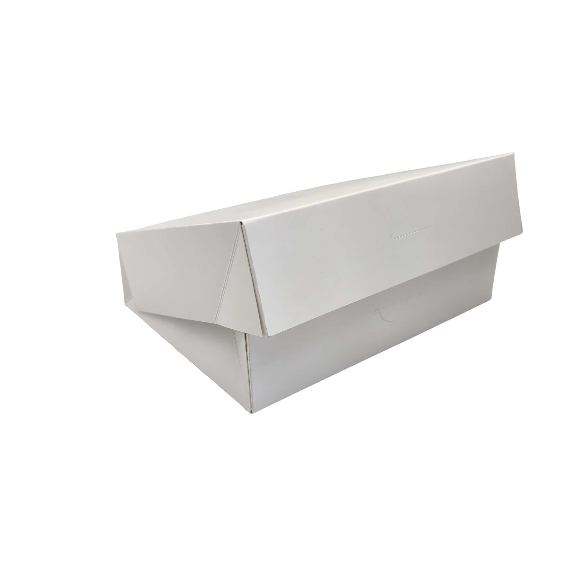 Coating Hexagonal Shrimp Box - Image 3