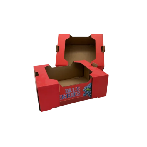 blueberry-box