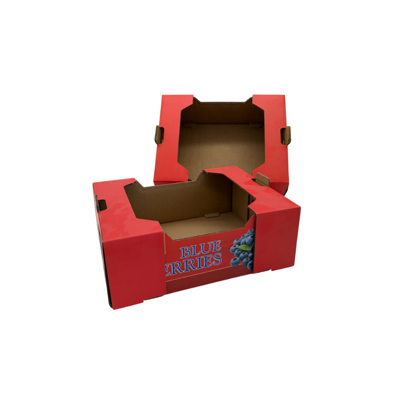 blueberry-box